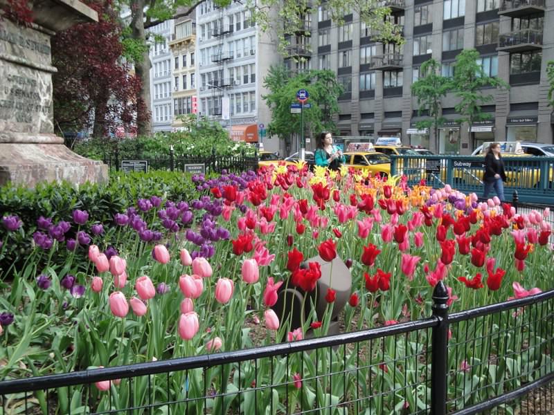 Manhattan - Madison Square Park