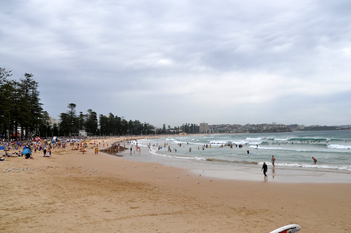 Manly Beach