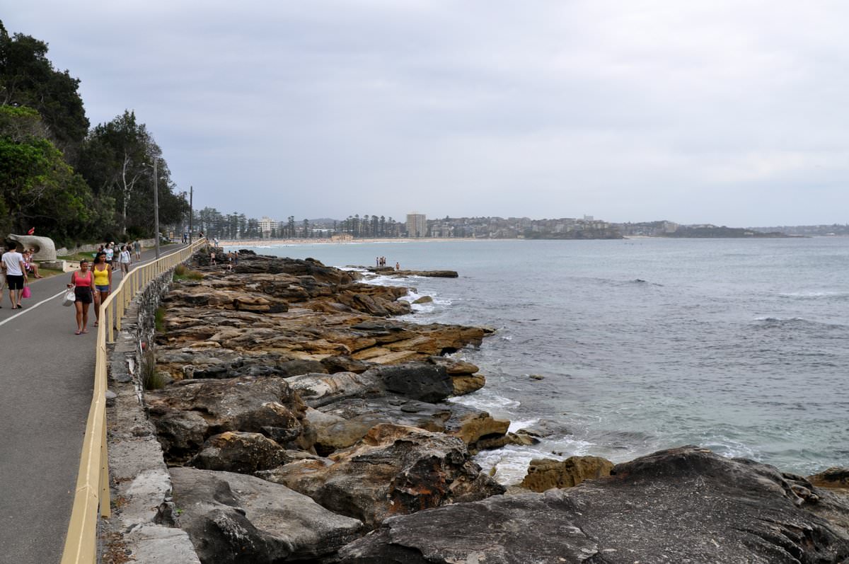 Manly coastline