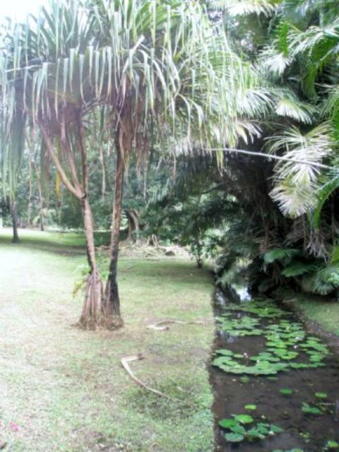 mauritius