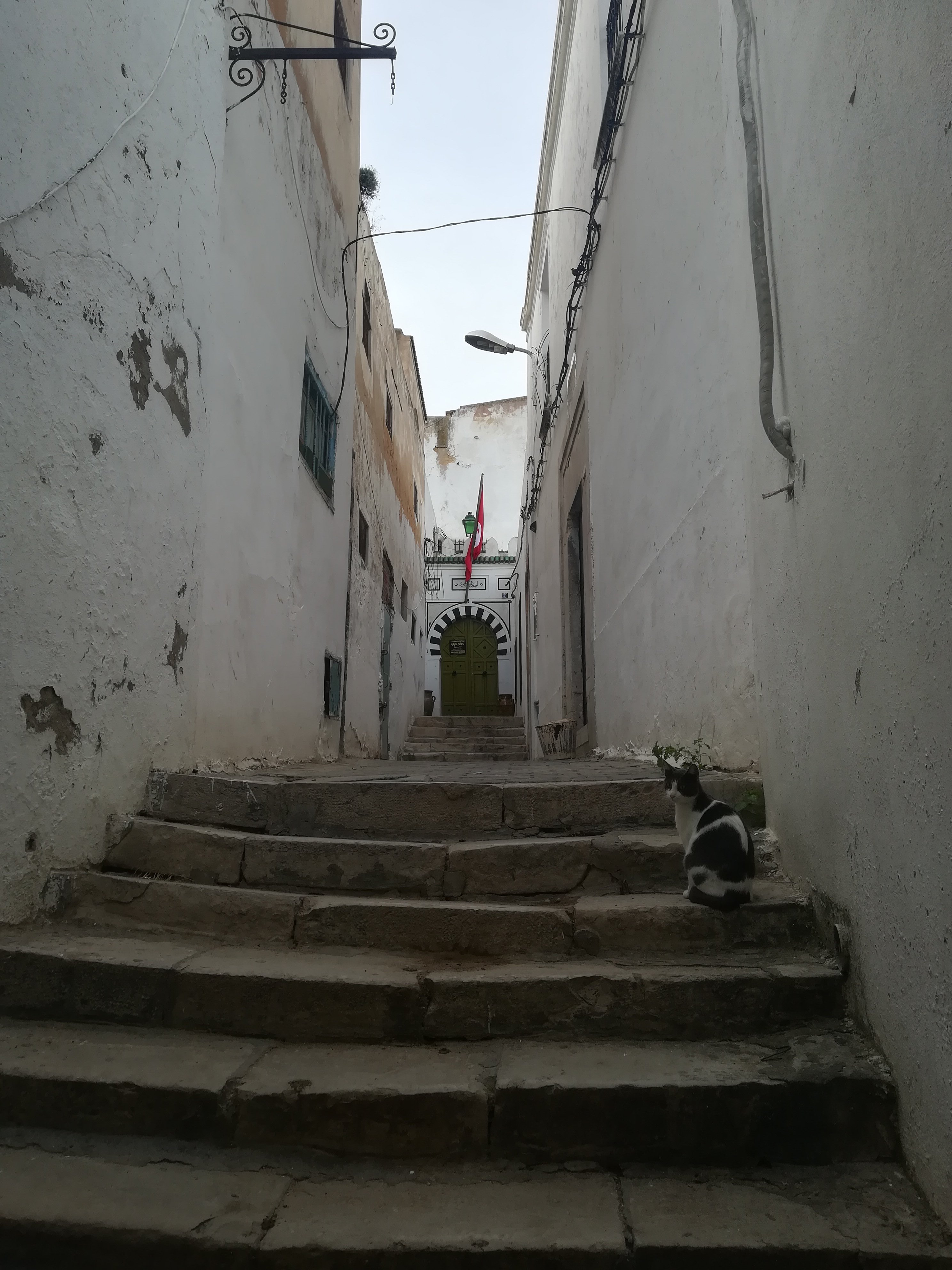 Medina of Tunis.jpg