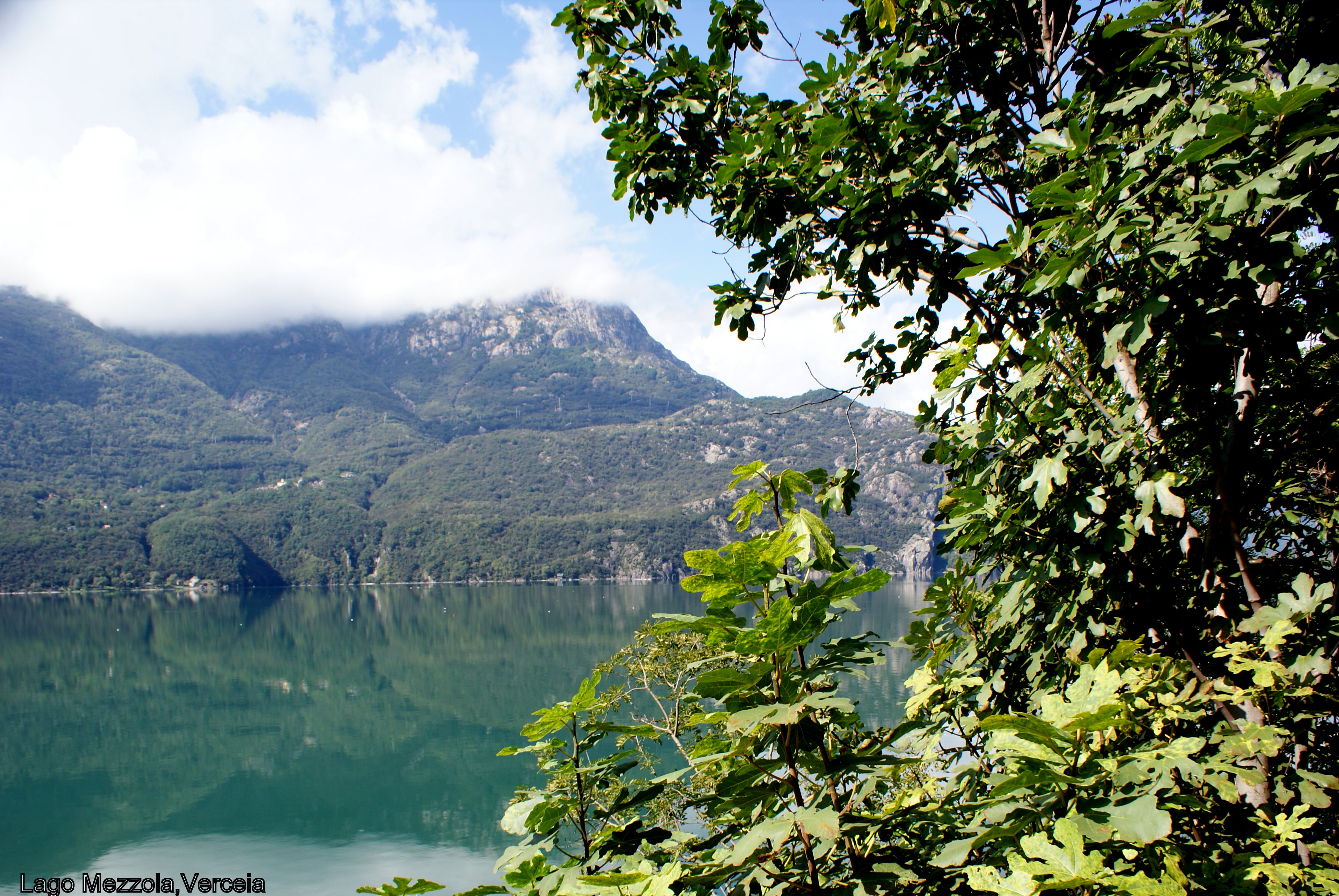 Mezzola lake,Italy