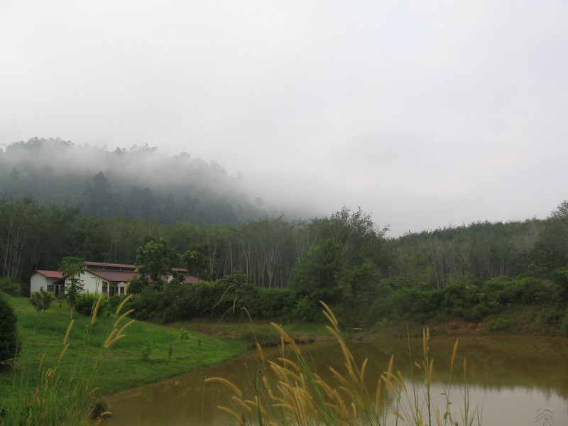 Misty Taman Negara