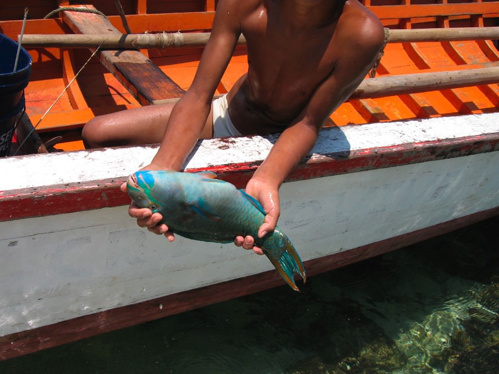 Mochima National Park