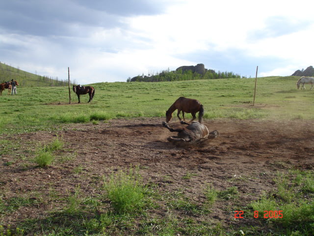 mongolia