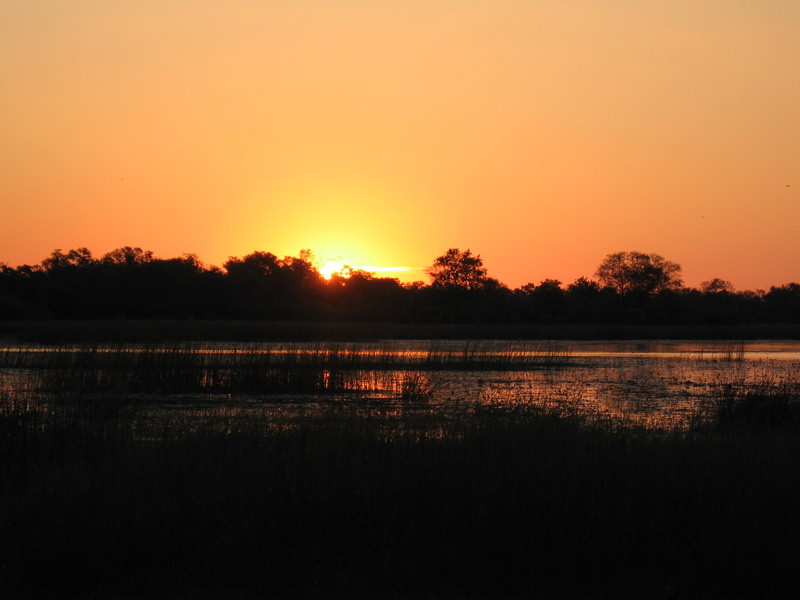 Moremi sunset