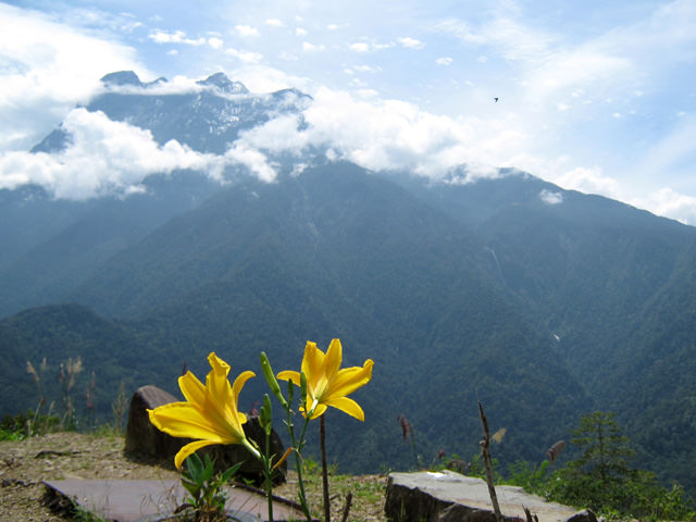 Mt. Kinabalu (Sabah)