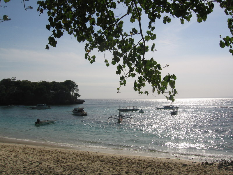Mushroom bay 2