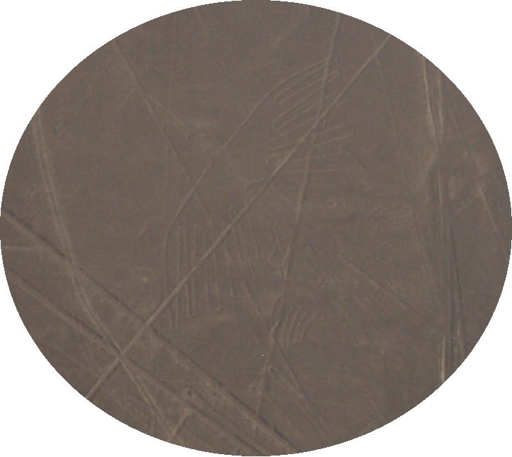 NASCA Γεωγλυφικά ΚΟΝΔΟΡΑΣ