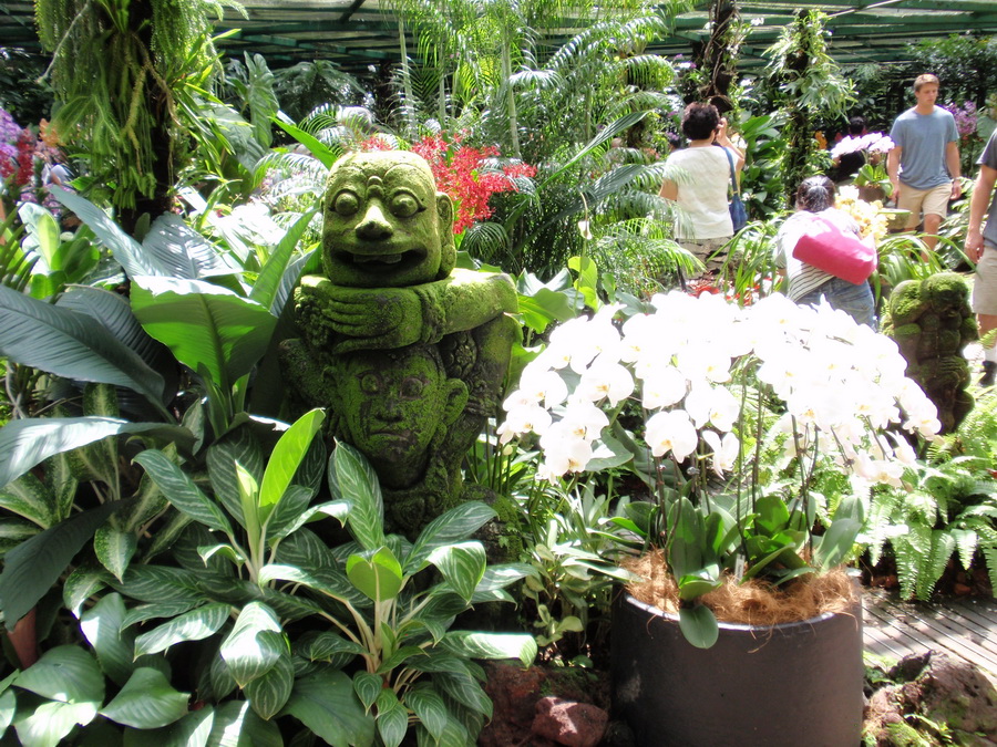 NATIONAL ORCHID GARDEN3