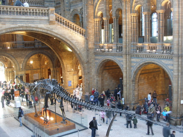 Natural History museum
