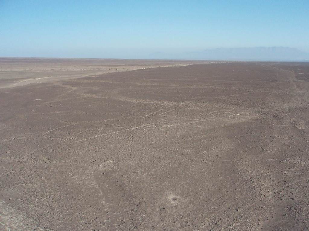 Nazca, σύμβολα