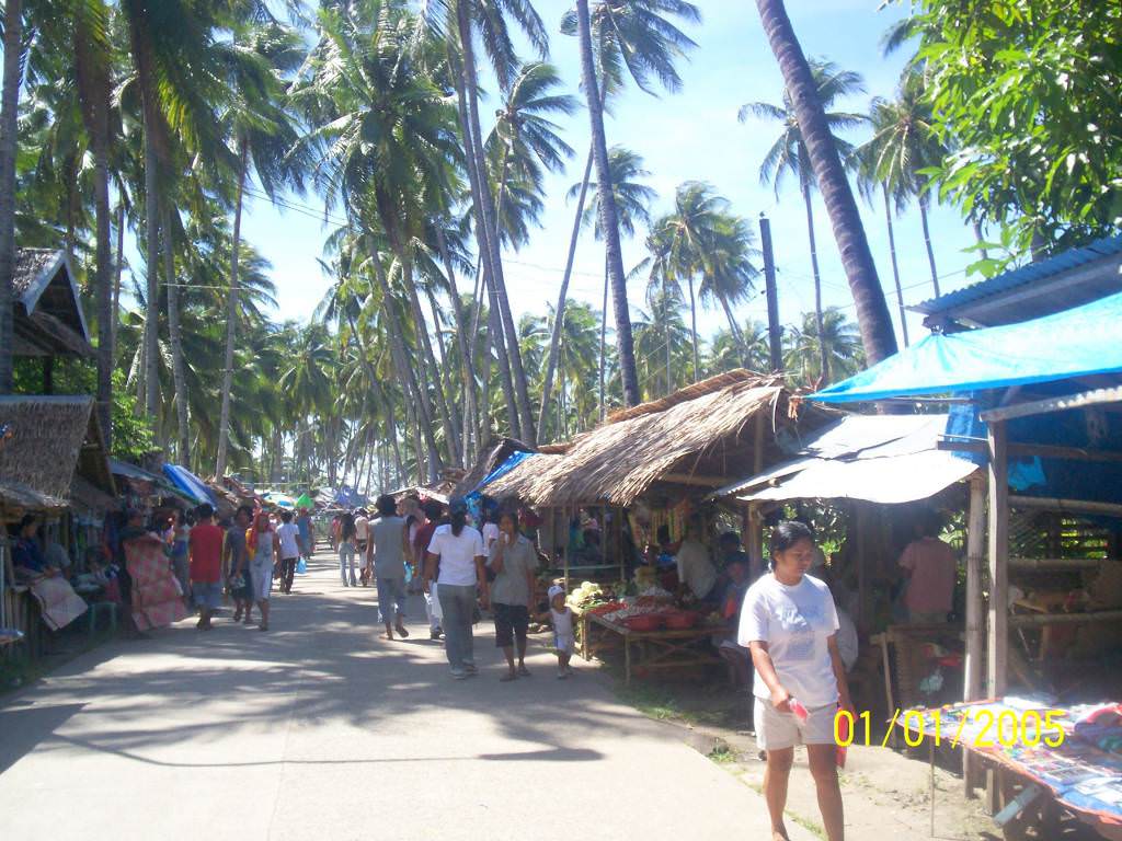 Negros island