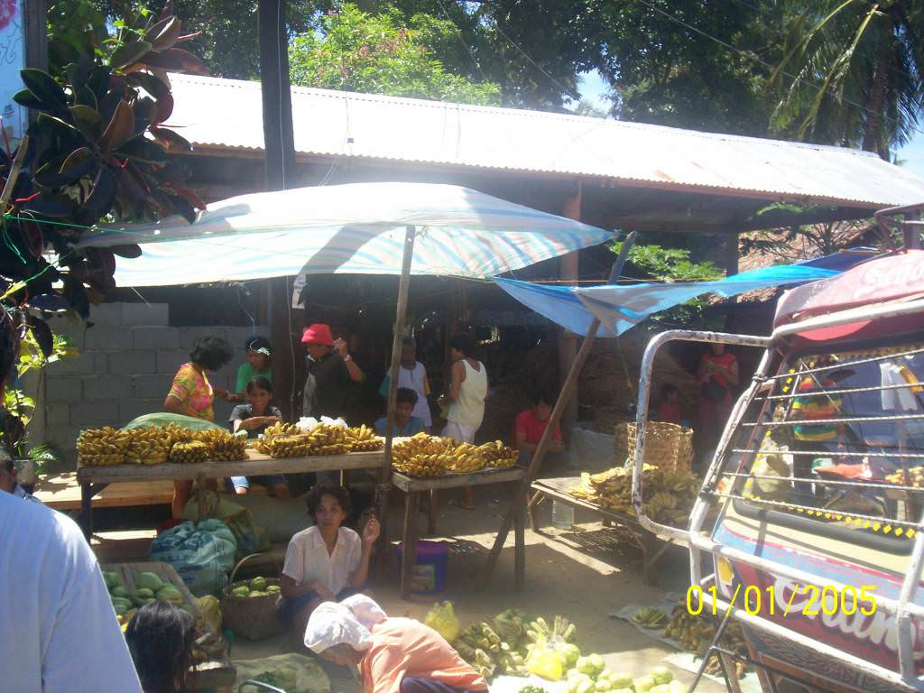 Negros island