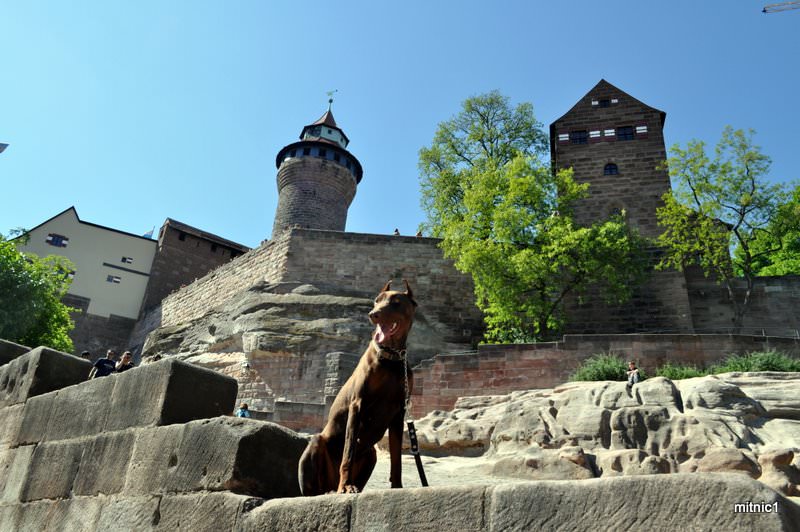 Nurmberg castle