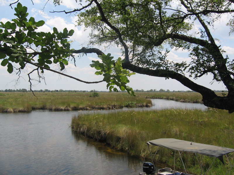 Okavango Delta