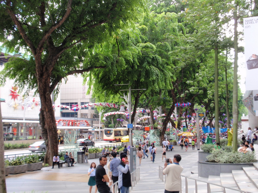ORCHARD ROAD1