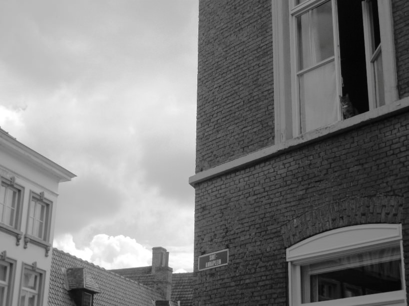 P7290635