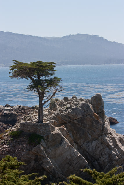 Pebble beach