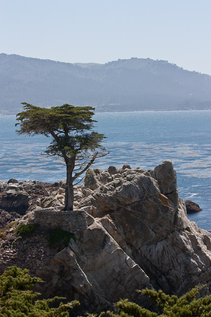 Pebble beach