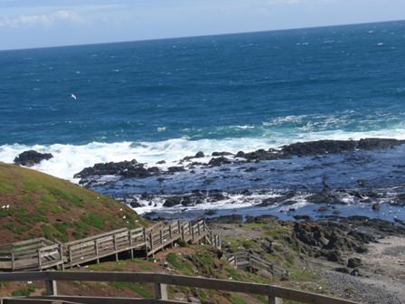 Phillip Island