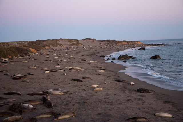 Piedras Blancas