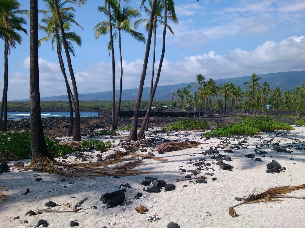Puuhonua O Honaunau - Alealea Heiau