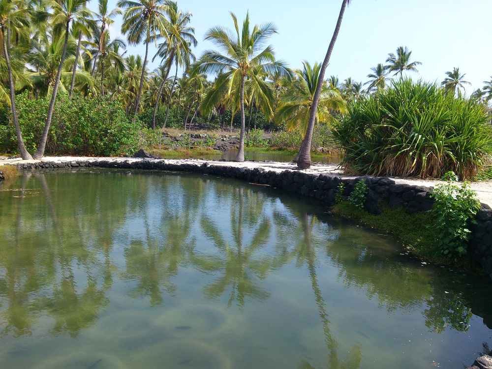 Puuhonua O Honaunau - Fishponds