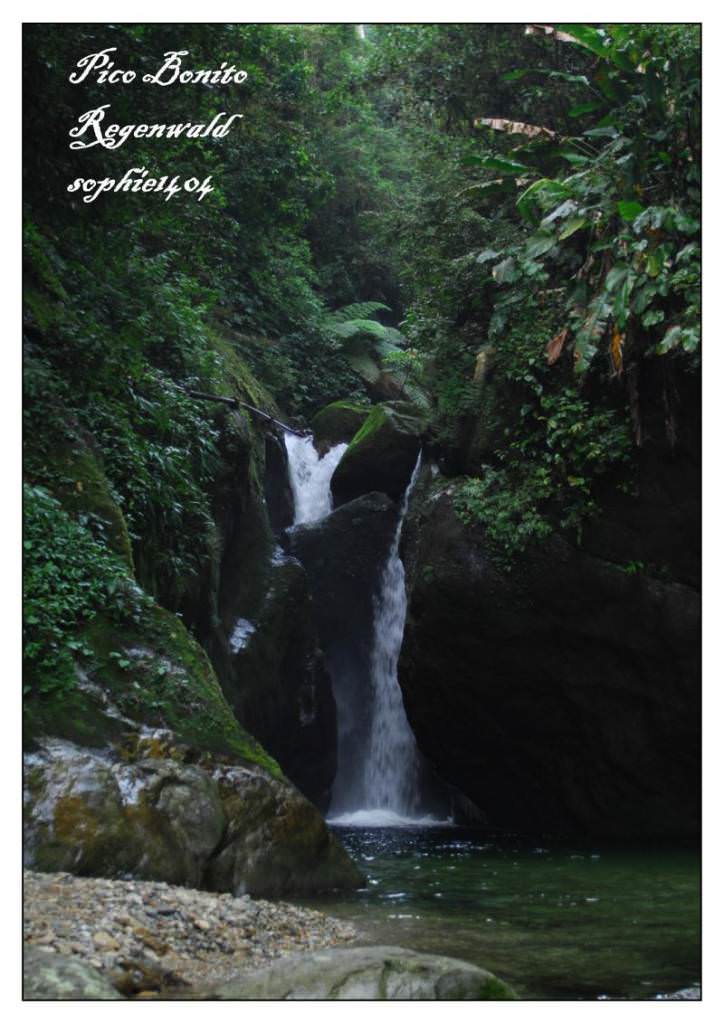 Rainforest Pico Bonito Ονδουρας