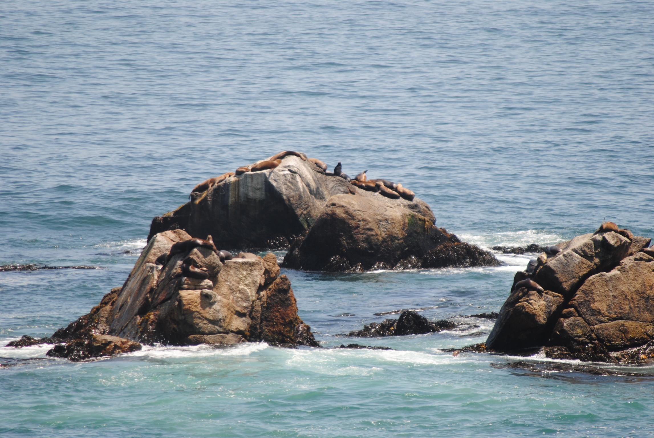 Reñaca,Chile