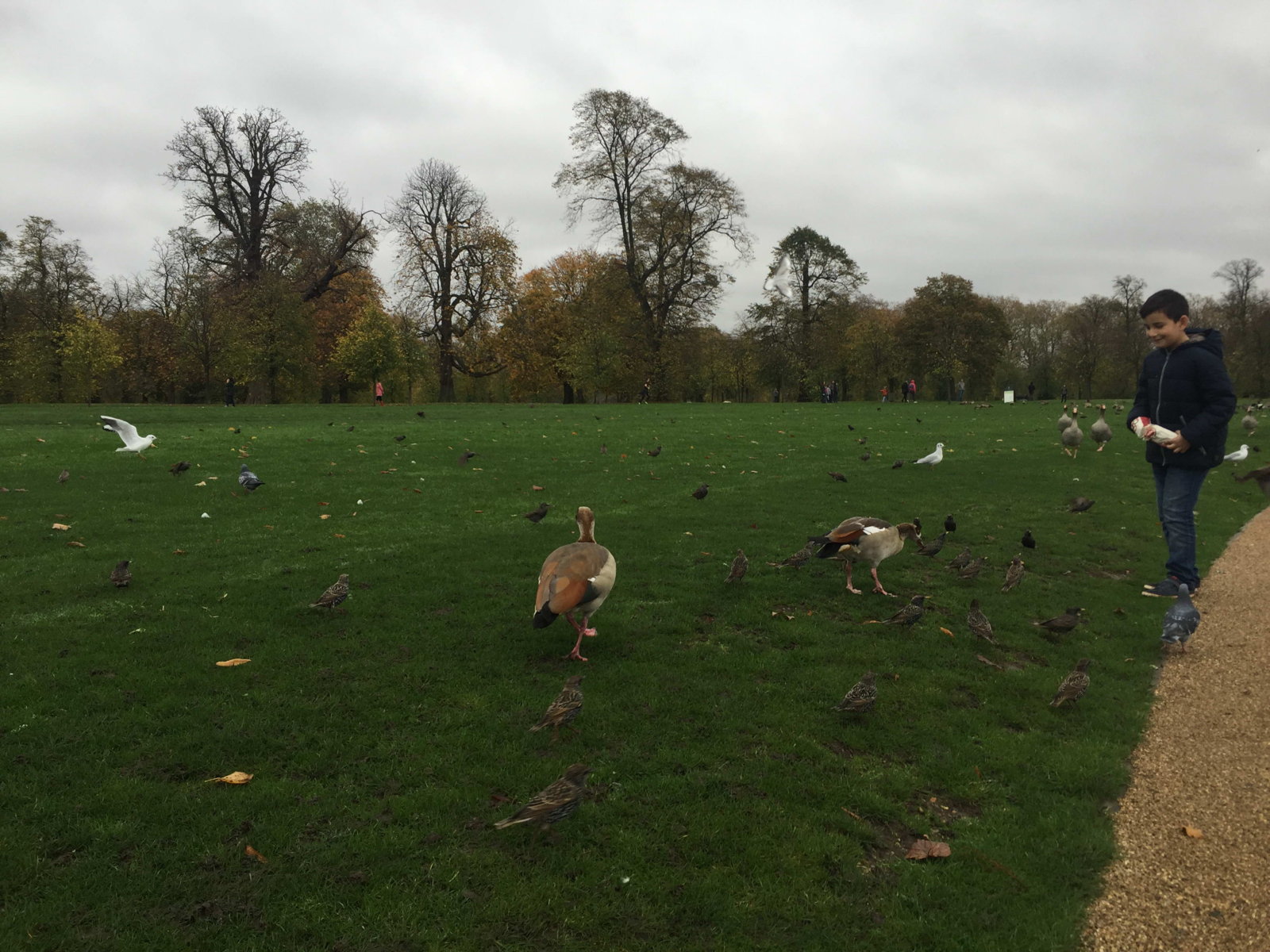 Regent's Park