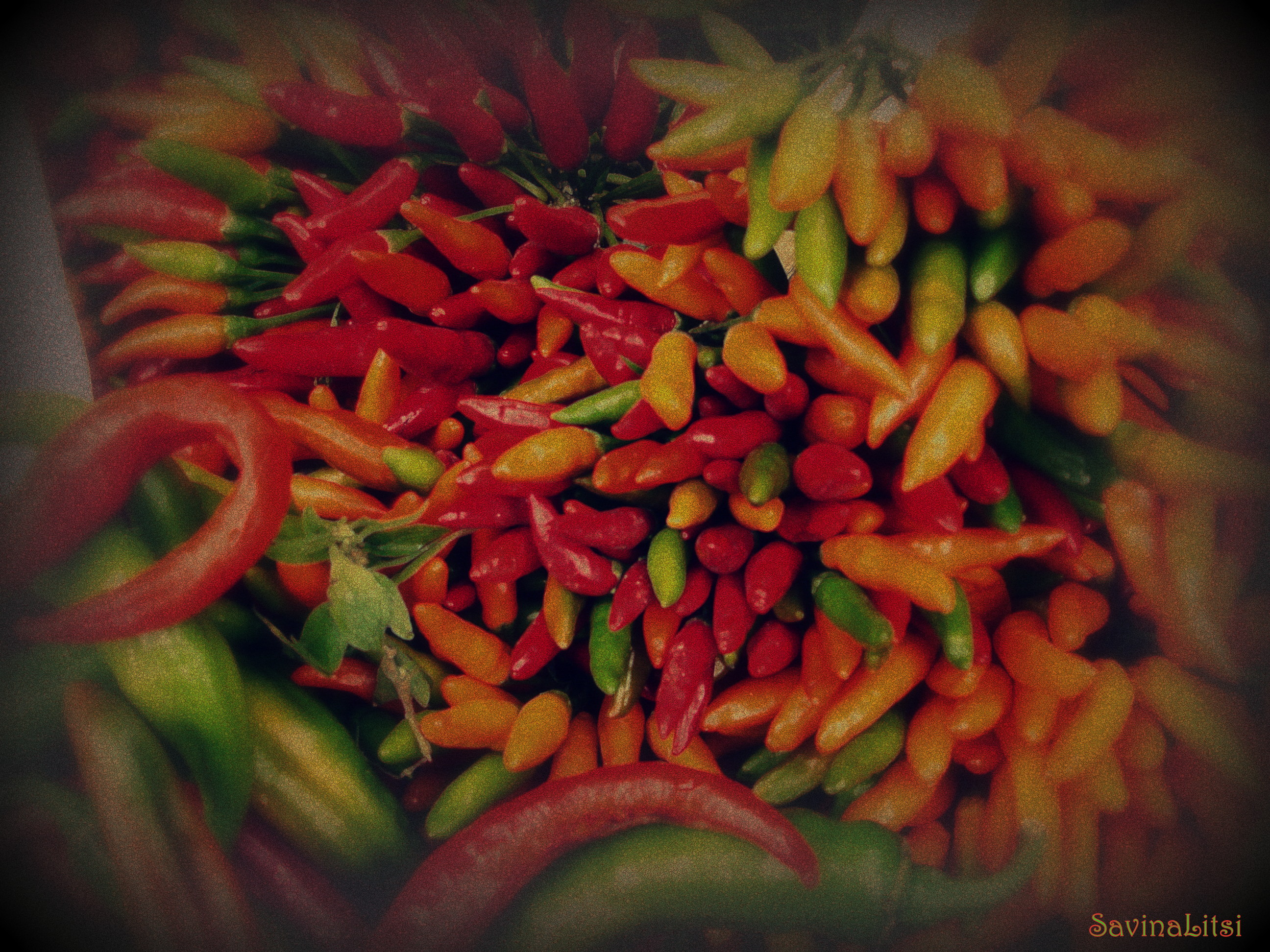 Rialto Mercato