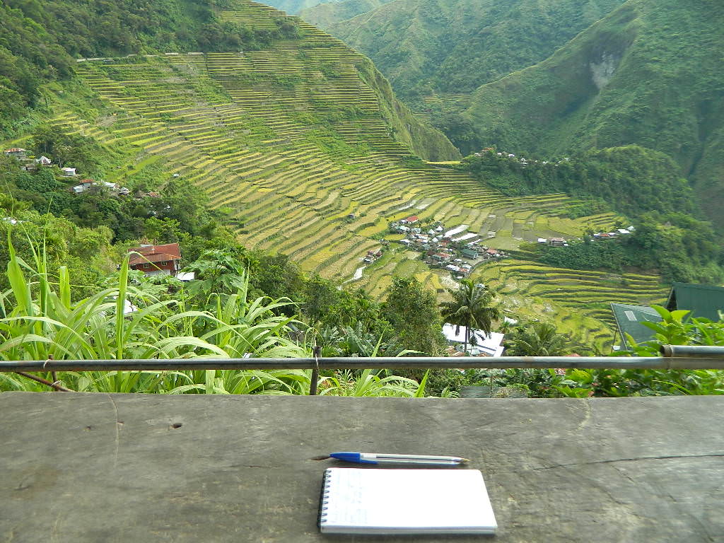 rice terraces