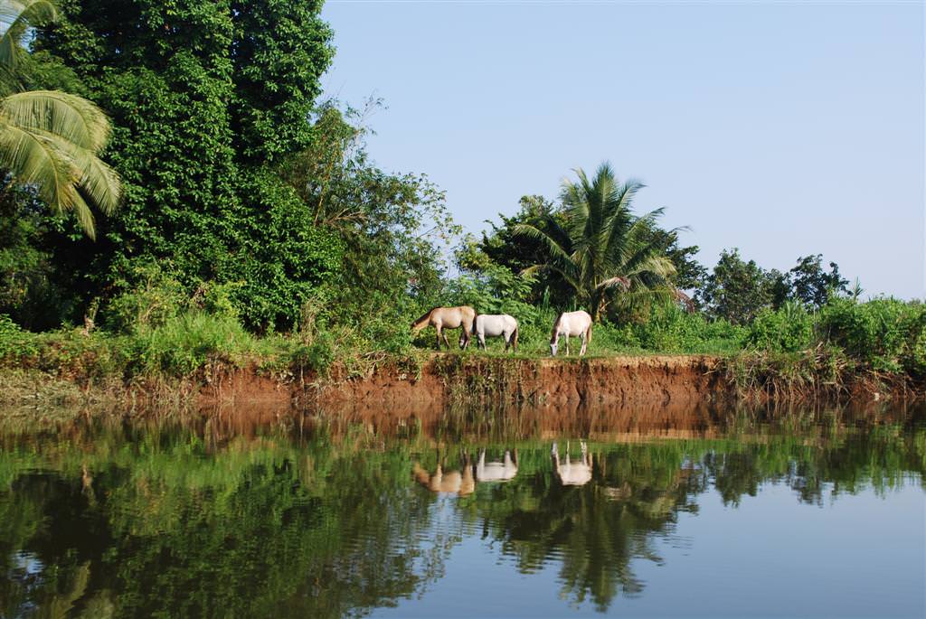 Rio Sambu, Darien...