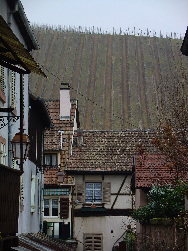 Riquewihr