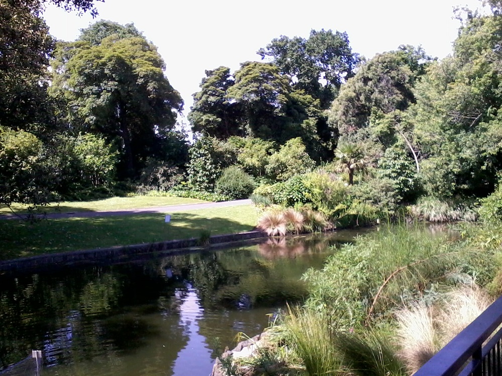 Royal Botanic Gardens 2