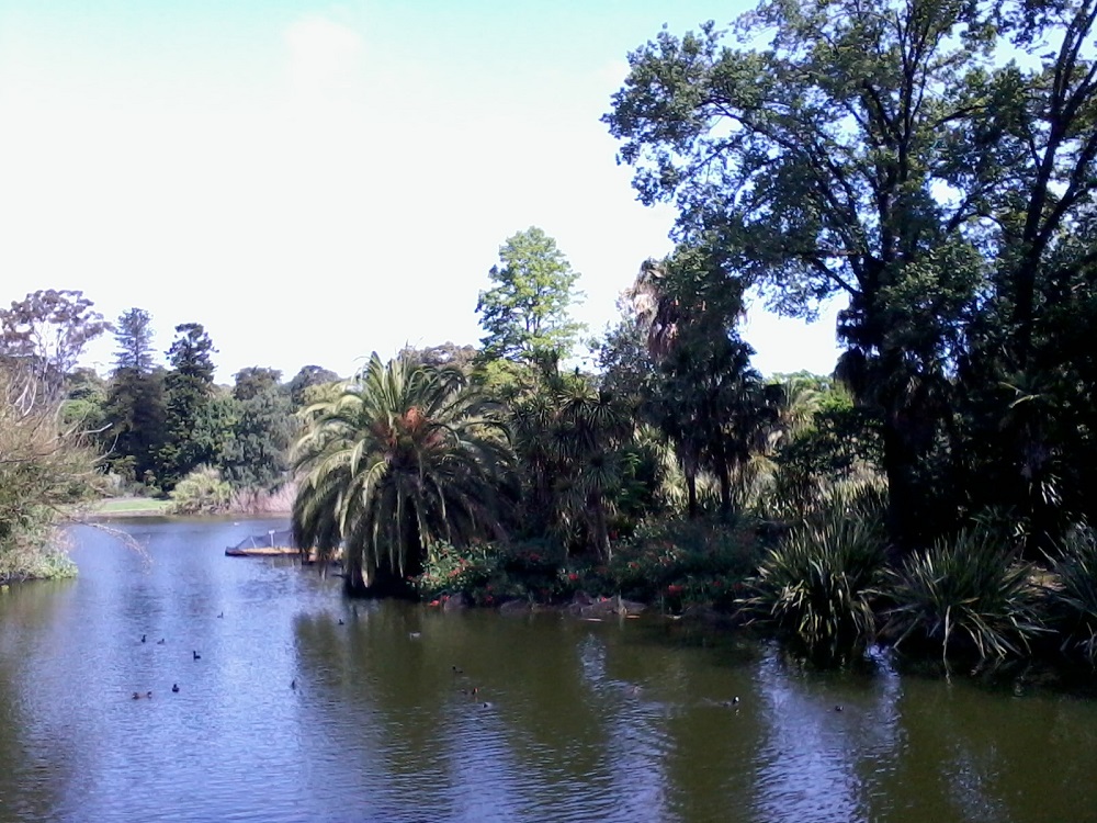 Royal Botanic Gardens 3