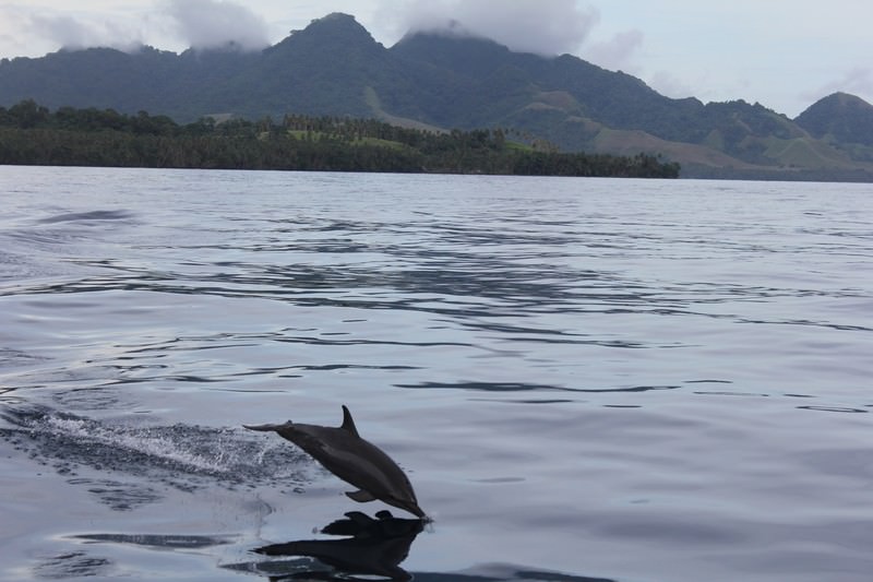 Russel_Islands_9_