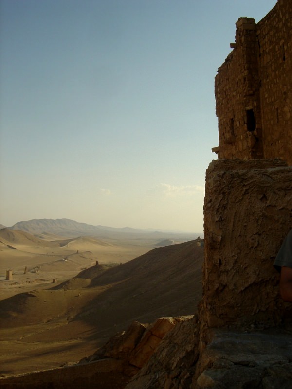 Sahredin Castle, Palmyra