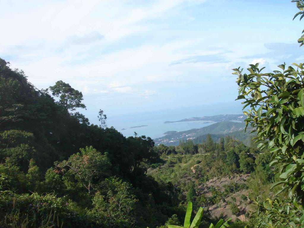 samui safari