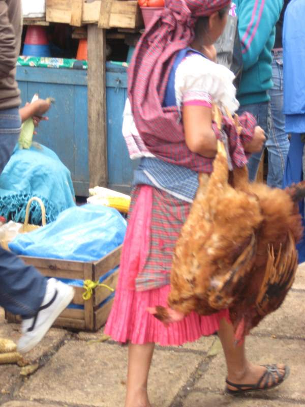 San Cristobal market