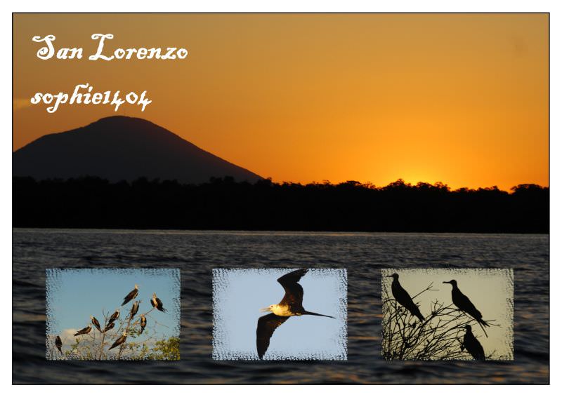 San Lorenzo Birdwatching Tour