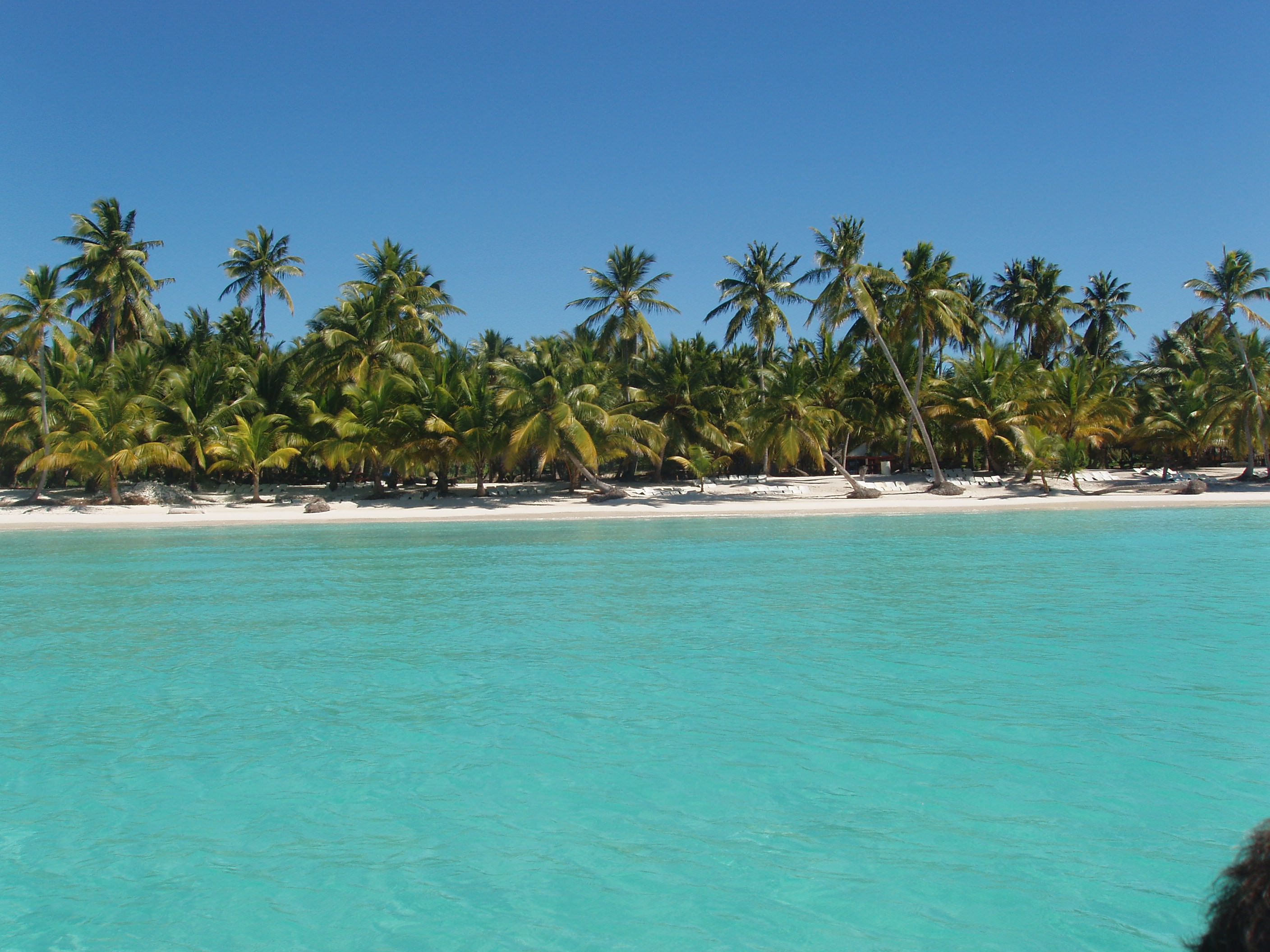 Saona Island - Dominican Republic