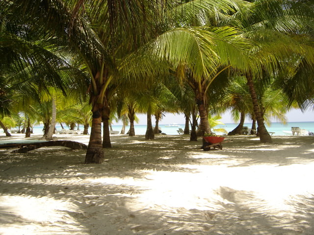 Saona Island