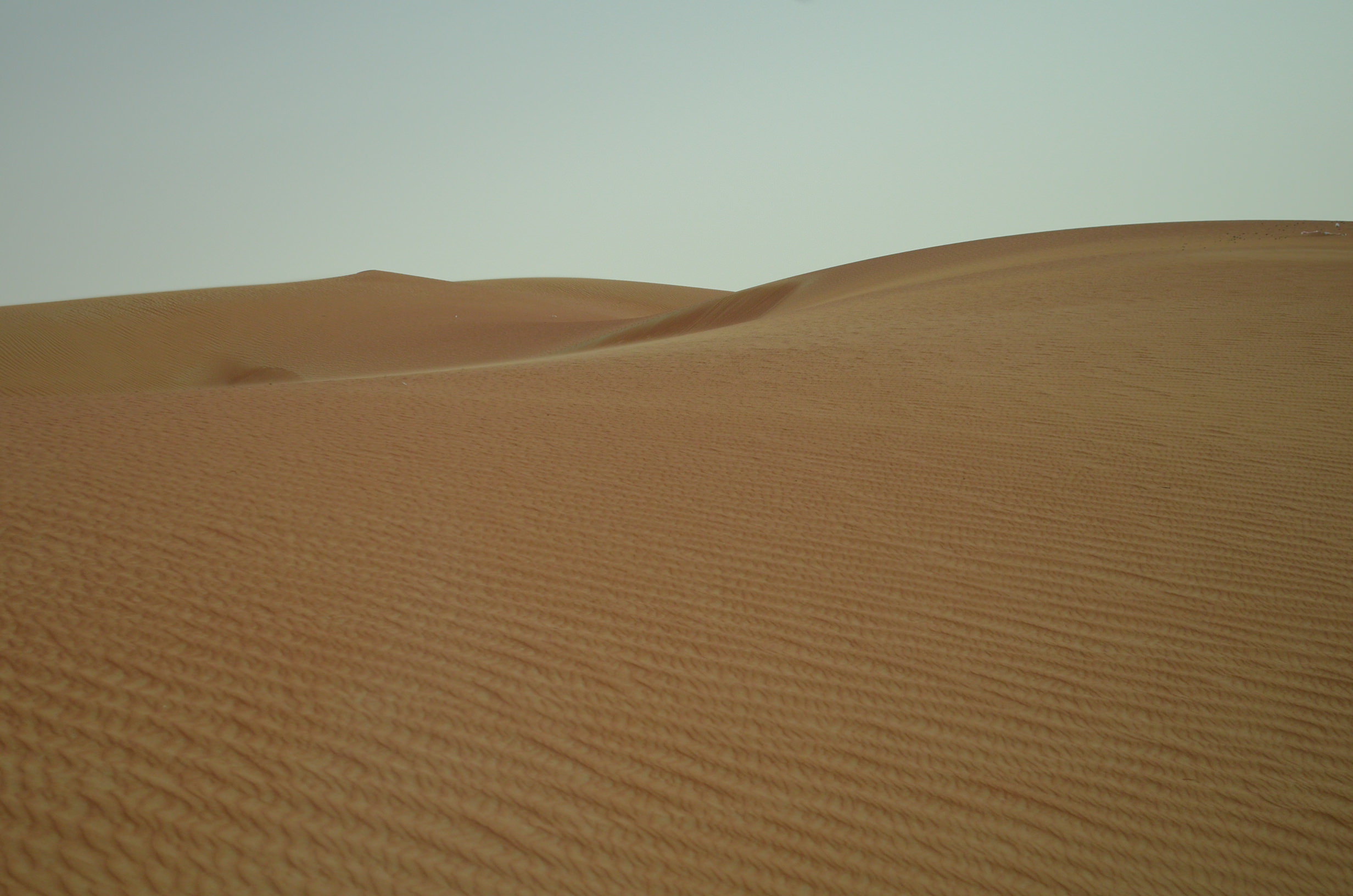 Sharjah desert