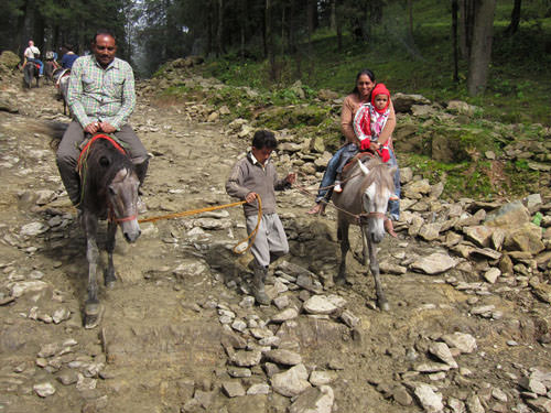 SHIMLA-KUFRI