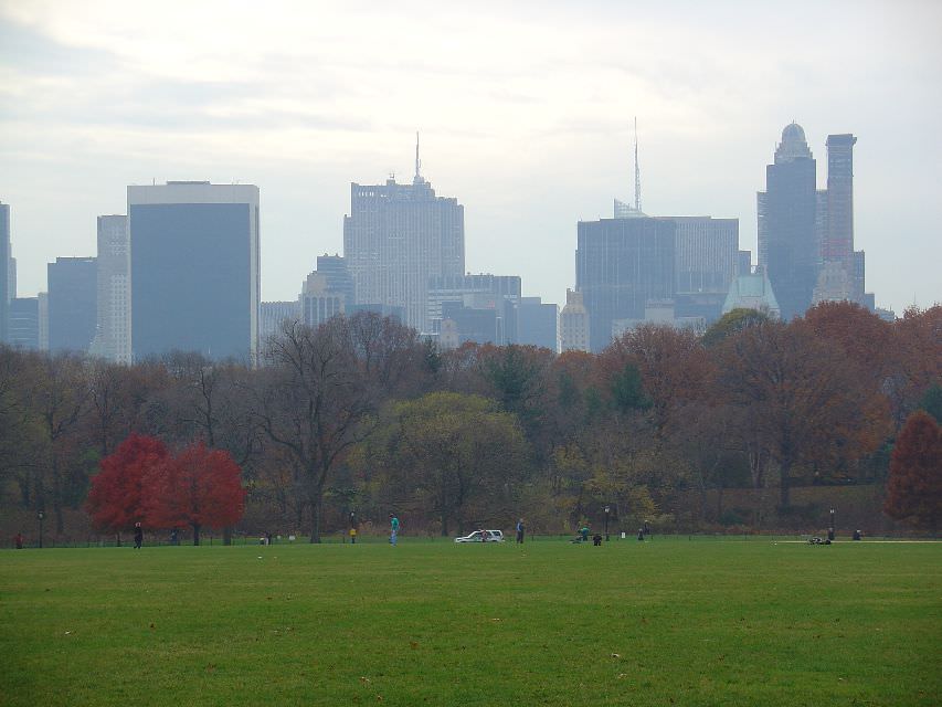 Skylines!!
