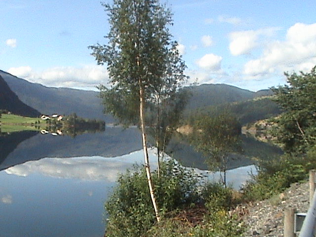 sogndallfjord