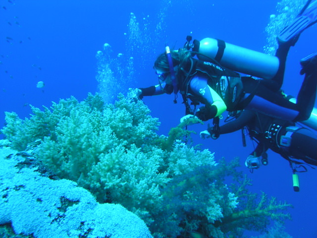 south red sea-saint johns reefs