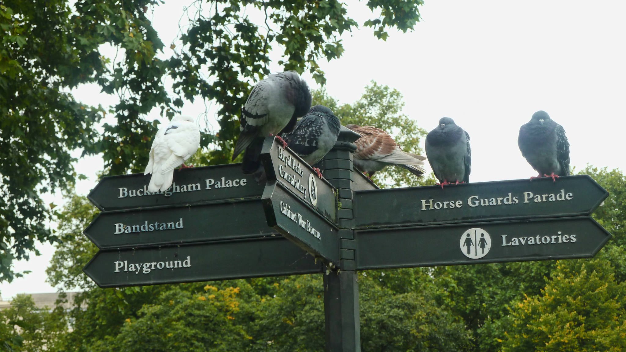 St. James' Park